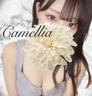 Camellia (カメリア) きらり