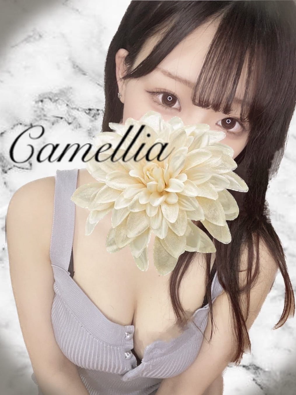 Camellia (カメリア) きらり