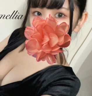 Camellia (カメリア) ゆき