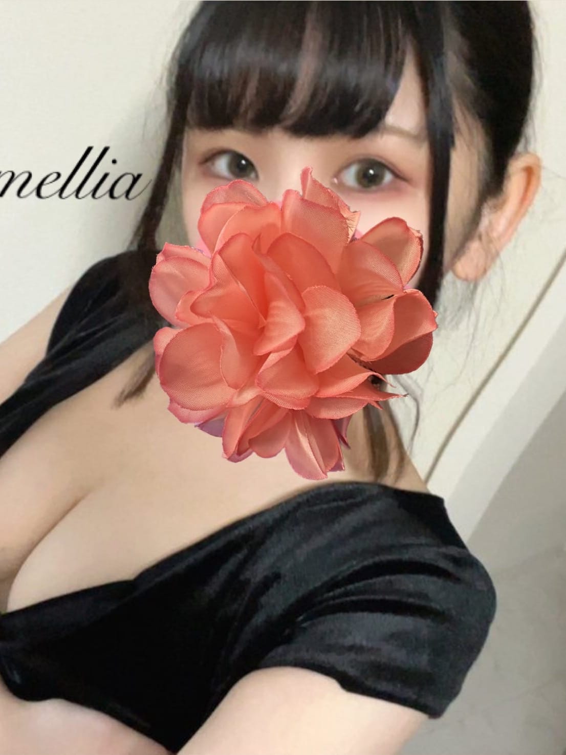Camellia (カメリア) ゆき